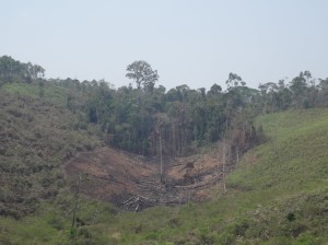 Brandrodung am Rand einer der letzen Urwälder Madagaskars -- und der Welt.
