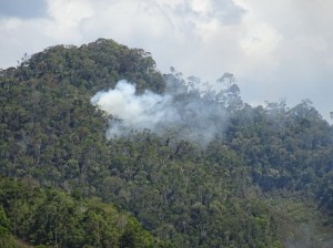 Ein Waldbrand in Menalamba. Er wird drei Wochen lang brennen und rund 50 Hektar Wald zerstören.